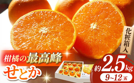 先行予約】【数量限定】せとか みかん 約2.5kg 果物 化粧箱入り