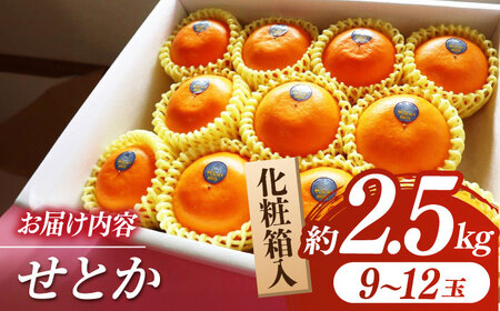 26年2月下発送せとかみかん約2.5kg化粧箱入り 果物みかんギフトZBN002