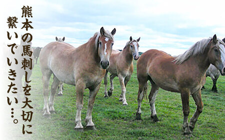 【3回定期便】まな板不要！切れてる 国産馬刺し 3P 3584 [ZDT049]