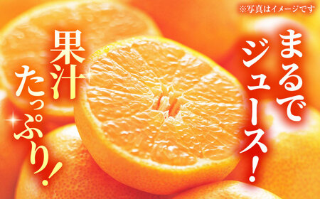 【訳あり】家庭用 みかん 約3kg 詰め合わせ 柑橘【合同会社 社方園】[ZBZ020]