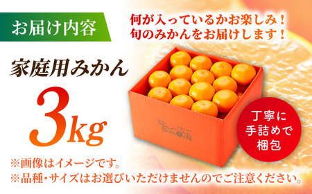 【訳あり】家庭用 みかん 約3kg 詰め合わせ 柑橘【合同会社 社方園】[ZBZ020]