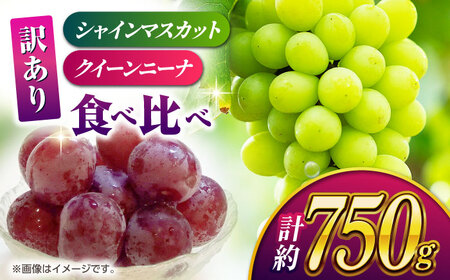 【先行予約】【数量限定】【訳あり】食べ比べセット 約750ｇ（シャインマスカット 1房 & クイーンニーナ 切り落とし 約300g）【合同会社 社方園】[ZBZ024]