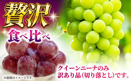 【2026年発送先行予約】【訳あり】食べ比べセット 約750ｇ（シャインマスカット 1房 & クイーンニーナ 切り落とし 約300g）【合同会社 社方園】[ZBZ024]