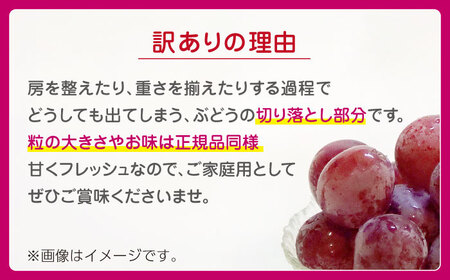 【2026年発送先行予約】【訳あり】食べ比べセット 約750ｇ（シャインマスカット 1房 & クイーンニーナ 切り落とし 約300g）【合同会社 社方園】[ZBZ024]