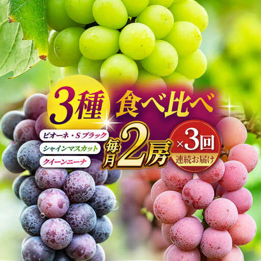 【2026年発送先行予約】【3回定期便】ぶどうの宝石 3色 定期便 約400g×2房【合同会社 社方園】[ZBZ026]