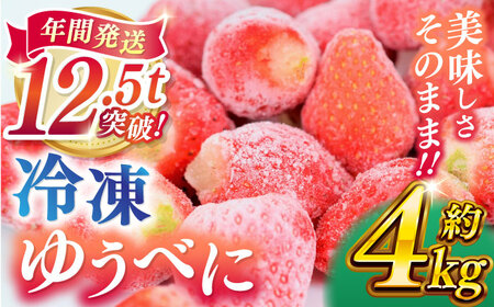 冷凍 いちご ゆうべに 約4kg【熊本ベリー】[ZER015]