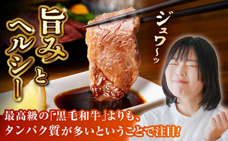GI認証 くまもとあか牛 焼肉用 約500ｇ【山鹿市（桜屋）】[ZBO055]