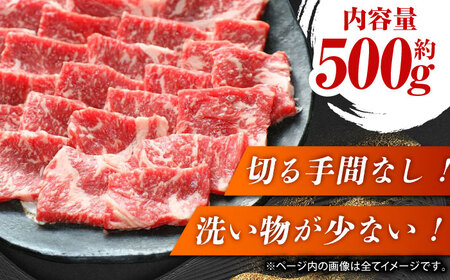 GI認証 くまもとあか牛 焼肉用 約500ｇ【山鹿市（桜屋）】[ZBO055]