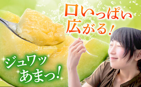 【数量限定】【先行予約】アールスメロン 約4kg～5kg（4L～5L）2玉入【道の駅 水辺プラザかもと】[ZEG001]