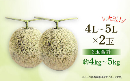 【数量限定】【先行予約】アールスメロン 約4kg～5kg（4L～5L）2玉入【道の駅 水辺プラザかもと】[ZEG001]
