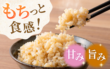 〈令和7年度産米〉 合鴨玄米 5kg×2 計10kg 【あいがもん倶楽部】 令和7年産 [ZAR029]