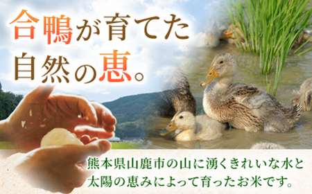 〈令和7年度産米〉 合鴨玄米 5kg×2 計10kg 【あいがもん倶楽部】 令和7年産 [ZAR029]