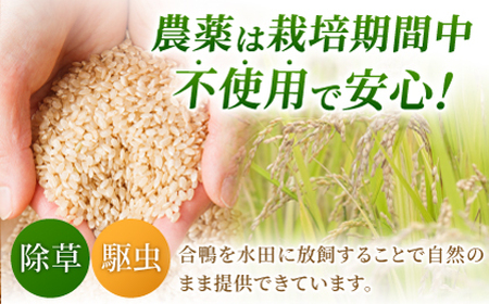 〈令和7年度産米〉 合鴨玄米 5kg×2 計10kg 【あいがもん倶楽部】 令和7年産 [ZAR029]