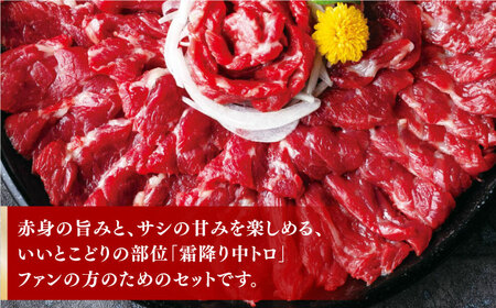 霜降り馬刺しセット 計500g 馬刺し専用醤油付き[ZBK034]