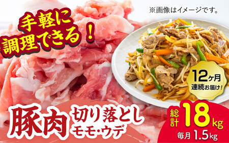 【12回定期便】豚肉切り落とし（モモ・ウデ部位指定なし）約1.5kg（約300g×5pc）【吉里精肉】[ZEW086]