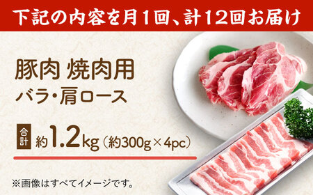 【12回定期便】豚肉 焼肉用（バラ・肩ロース）約1.2kg（約300g×4pc）【吉里精肉】[ZEW098]