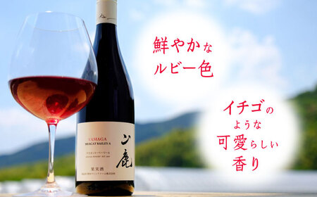 【年内発送は12月21日ご入金分まで！】 マスカット・ベーリーA「山鹿」　赤ワイン・辛口　750ml ギフト箱入り 【菊鹿ワイナリー】[ZFB001]