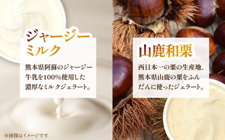 ジェラート 6個入り （ジャージーミルク、山鹿和栗、岳間抹茶、塩キャラメル、ショコラ、洒落柿クリームチーズ 各1個）　（各100ml） 【株式会社パストラル】[ZAR001]