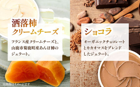 ジェラート 6個入り （ジャージーミルク、山鹿和栗、岳間抹茶、塩キャラメル、ショコラ、洒落柿クリームチーズ 各1個）　（各100ml） 【株式会社パストラル】[ZAR001]