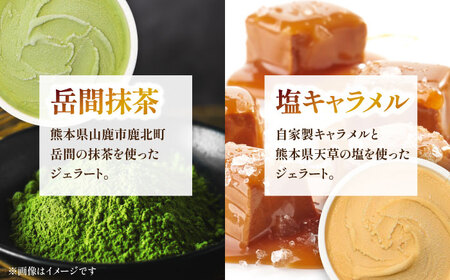 ジェラート 9個入り （ジャージーミルク、山鹿和栗、岳間抹茶 各2個 塩キャラメル、ショコラ、洒落柿クリームチーズ　各1個） （各100ml） 【株式会社パストラル】[ZAR002]
