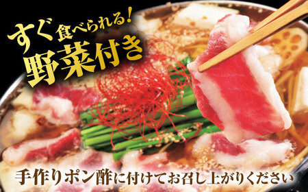 “お鍋さえあればすぐに食べれる”コラーゲンたっぷり女性的、美肌醤油スープ「姫さま鍋」(白濁あっさり醤油味2～3人前)【オルガニコ山鹿】[ZFH002]