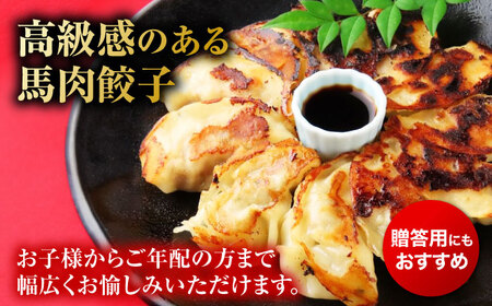 新感覚！ウマ肉うまうま餃子（20個×3パック）【オルガニコ山鹿】[ZFH006]