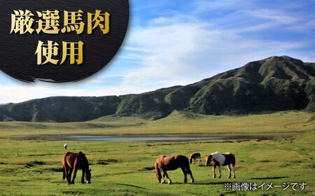 新感覚！ウマ肉うまうま餃子（20個×3パック）【オルガニコ山鹿】[ZFH006]