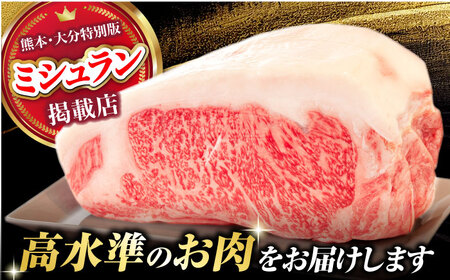 くまもとあか牛 サーロイン ステーキ ブロック肉 約2kg【有限会社スイートサプライなかぞの】[ZBV055]