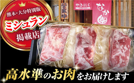 熊本 馬刺し「なか園」赤身馬刺し 約300ｇ【有限会社スイートサプライなかぞの】[ZBV065]