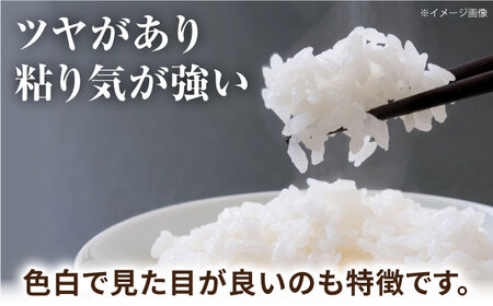 にこまる米 5kg 【道の駅 水辺プラザかもと】[ZEG009]