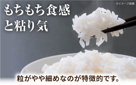 森のくまさん 5kg 【道の駅 水辺プラザかもと】[ZEG011]