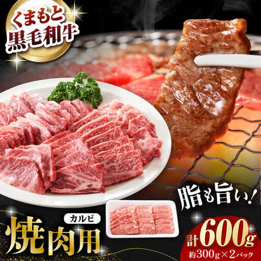 熊本県産 黒毛和牛 カルビ 焼肉用 約600g(約300g×2pc)【有限会社 九州食肉産業】[ZDQ153]