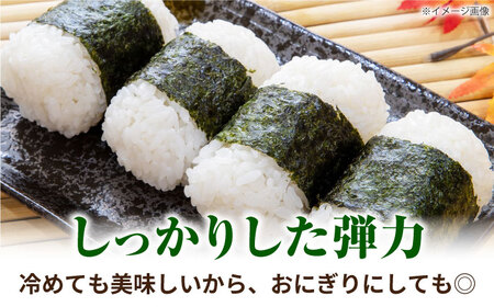 森のくまさん 2kg 【道の駅 水辺プラザかもと】[ZEG015]