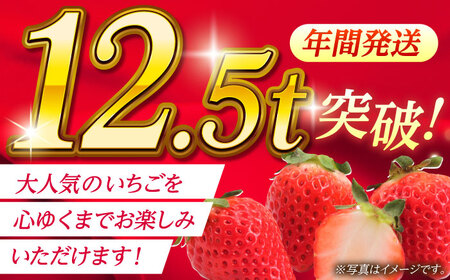 【先行予約】【5回定期便】大粒いちご L～2L ゆうべに 1kg（4pc）【熊本ベリー】[ZER016]