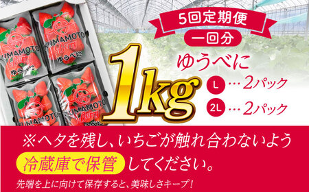 【先行予約】【5回定期便】大粒いちご L～2L ゆうべに 1kg（4pc）【熊本ベリー】[ZER016]
