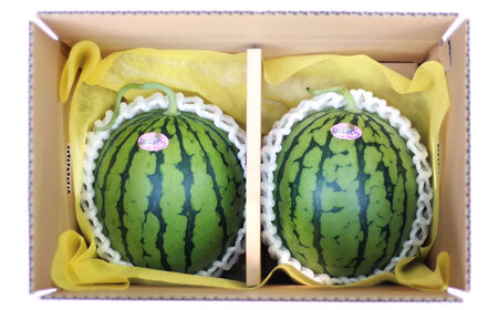 【先行予約】【初夏に実った贈り物】 小玉 スイカ 約4?4.5kg以上【なかむら農園】[ZBH004]