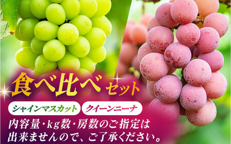 【2026年発送先行予約】食べ比べセット 約600g（シャインマスカット ＆ クイーンニーナ 各一房）【合同会社 社方園】[ZBZ036]