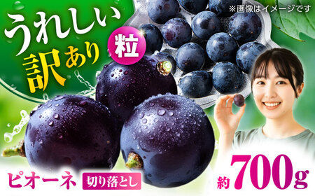 【先行予約】 訳あり ピオーネ ぶどう 切り落とし 約700g  【合同会社 社方園】[ZBZ037]