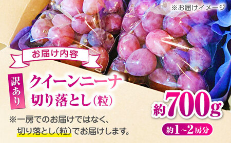 【2026年発送先行予約】訳あり クイーンニーナ ぶどう 切り落とし 約700g  【合同会社 社方園】[ZBZ039]