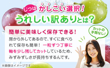 【先行予約】 訳あり 紅白ぶどう2種（シャインマスカット＆クイーンニーナ）食べ比べ 切り落とし 計約1kg  【合同会社 社方園】[ZBZ041]
