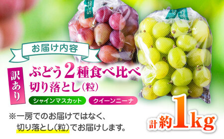 【先行予約】 訳あり 紅白ぶどう2種（シャインマスカット＆クイーンニーナ）食べ比べ 切り落とし 計約1kg  【合同会社 社方園】[ZBZ041]