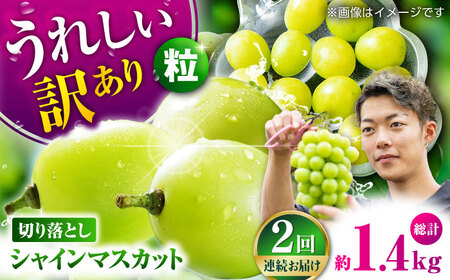 【先行予約】【2回定期便】 訳あり シャインマスカット 切り落とし 約700g  【合同会社 社方園】[ZBZ043]