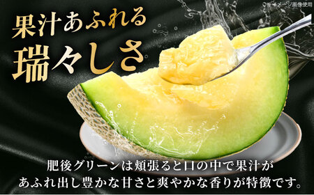 【先行予約】 肥後グリーン メロン 約2kg（1玉） 【とみおか農園】[ZEM005]