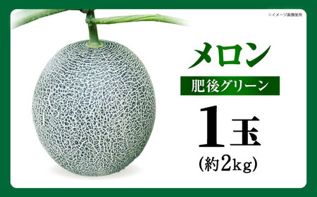 【先行予約】 肥後グリーン メロン 約2kg（1玉） 【とみおか農園】[ZEM005]