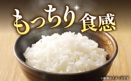 〈令和7年度産米〉 熊本県産　お米 森のくまさん 5kg 【すみれファーム】 令和7年産 [ZEP072]