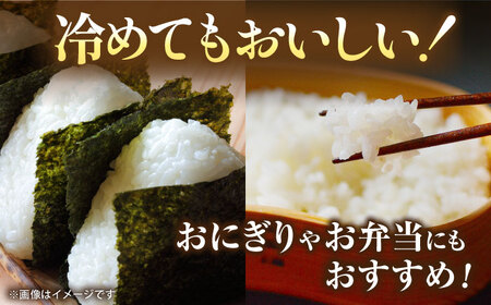 〈令和7年度産米〉 熊本県産　お米 森のくまさん 5kg 【すみれファーム】 令和7年産 [ZEP072]