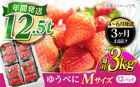 3月より発送3回定期 熊本いちごMサイズゆうべに3kg(12p)イチゴ苺国産ゆうべにいちごZER024