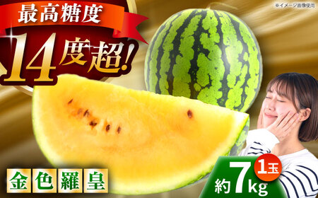 【先行予約】金色羅皇 スイカ 2L以上 1玉 約7kg すいか 野菜 フルーツ 果物 【日本フルーツ株式会社】 [ZFJ008]