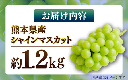 【先行予約】シャインマスカット 約1.2kg マスカット 葡萄 ぶどう フルーツ 果物【日本フルーツ株式会社】 [ZFJ019]