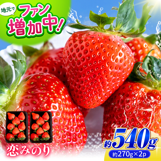 こば農園のこだわりいちご 恋みのり約540g(約270g/6~11粒×2p)熊本いちご苺イチゴZFO001
